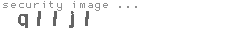 security image