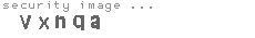 security image
