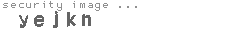 security image