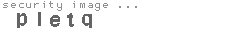 security image