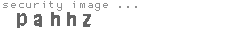 security image