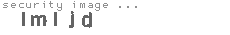 security image