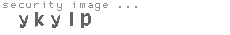 security image
