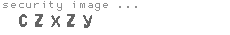security image