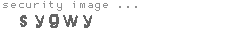 security image