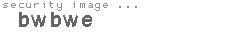 security image