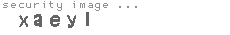 security image