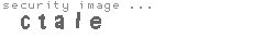 security image