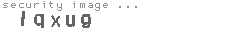 security image