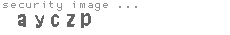 security image