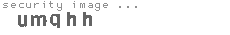 security image