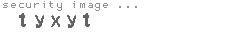 security image