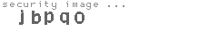 security image