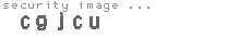 security image