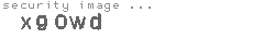 security image