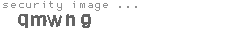 security image