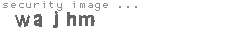 security image
