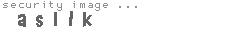security image