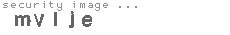 security image