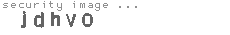 security image