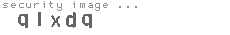 security image