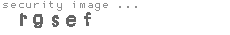 security image