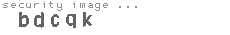 security image
