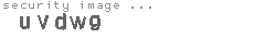 security image