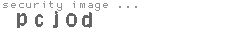 security image
