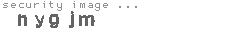 security image