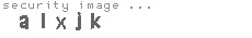 security image