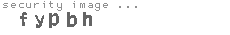 security image