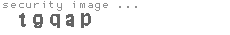 security image