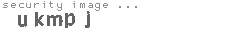 security image