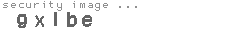 security image