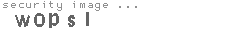 security image