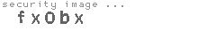 security image