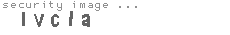 security image