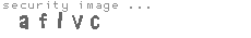 security image
