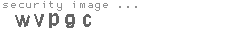security image