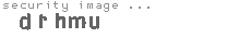 security image