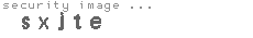 security image
