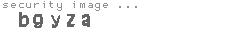 security image