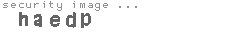security image