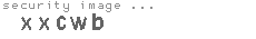security image