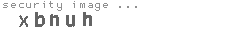 security image