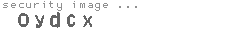 security image