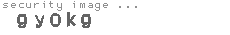 security image