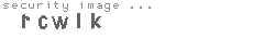 security image