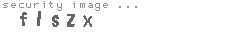 security image